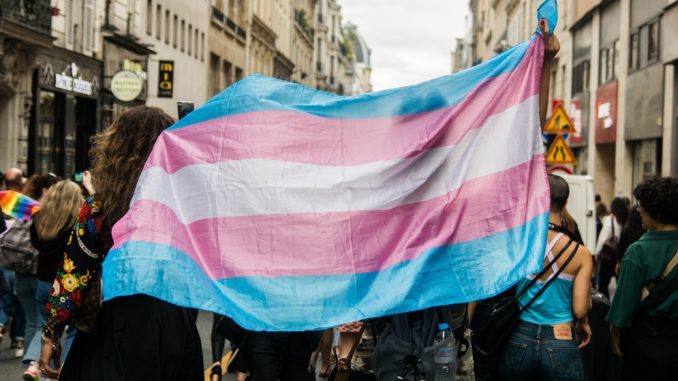 Le drapeau trans brandi lors d'un rassemblement